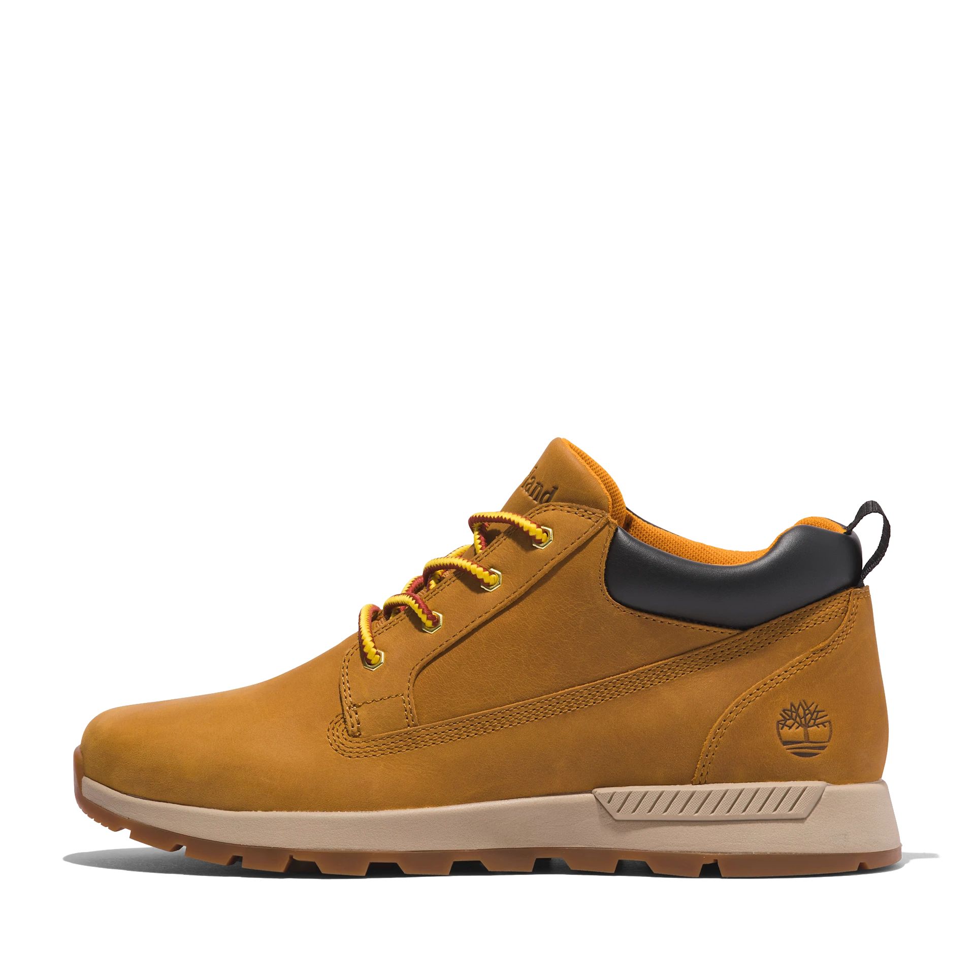 TB0A2JAC231-ALT7_1 Killington Trekker LOW LACE UP SNEAKER WHEAT - immagine 7